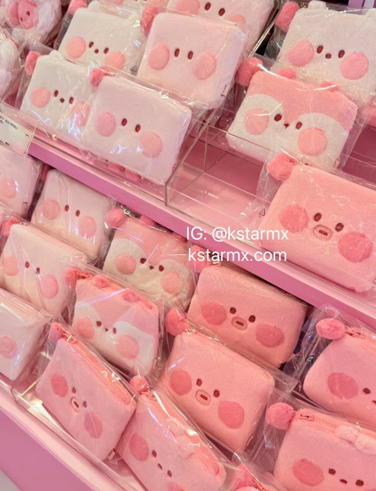 BT21 x SANFU Official Love Poem Coin Purse Pink Edition