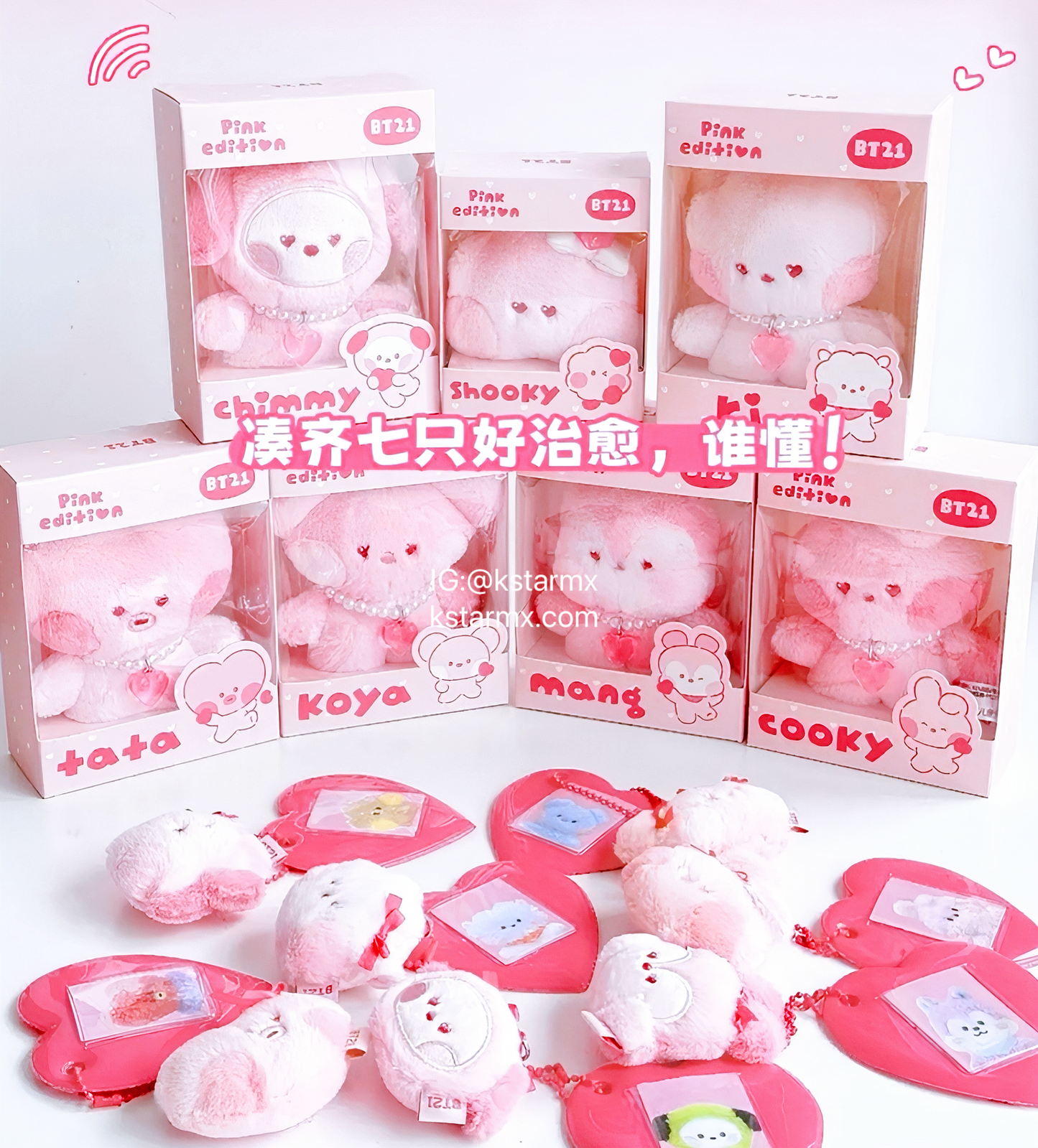 BT21 x SANFU Official Love Poem Plush L Pink Edition