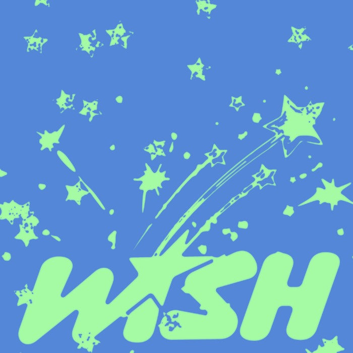 NCT WISH - WISH 1st Single Album Keyring Smart Album Version