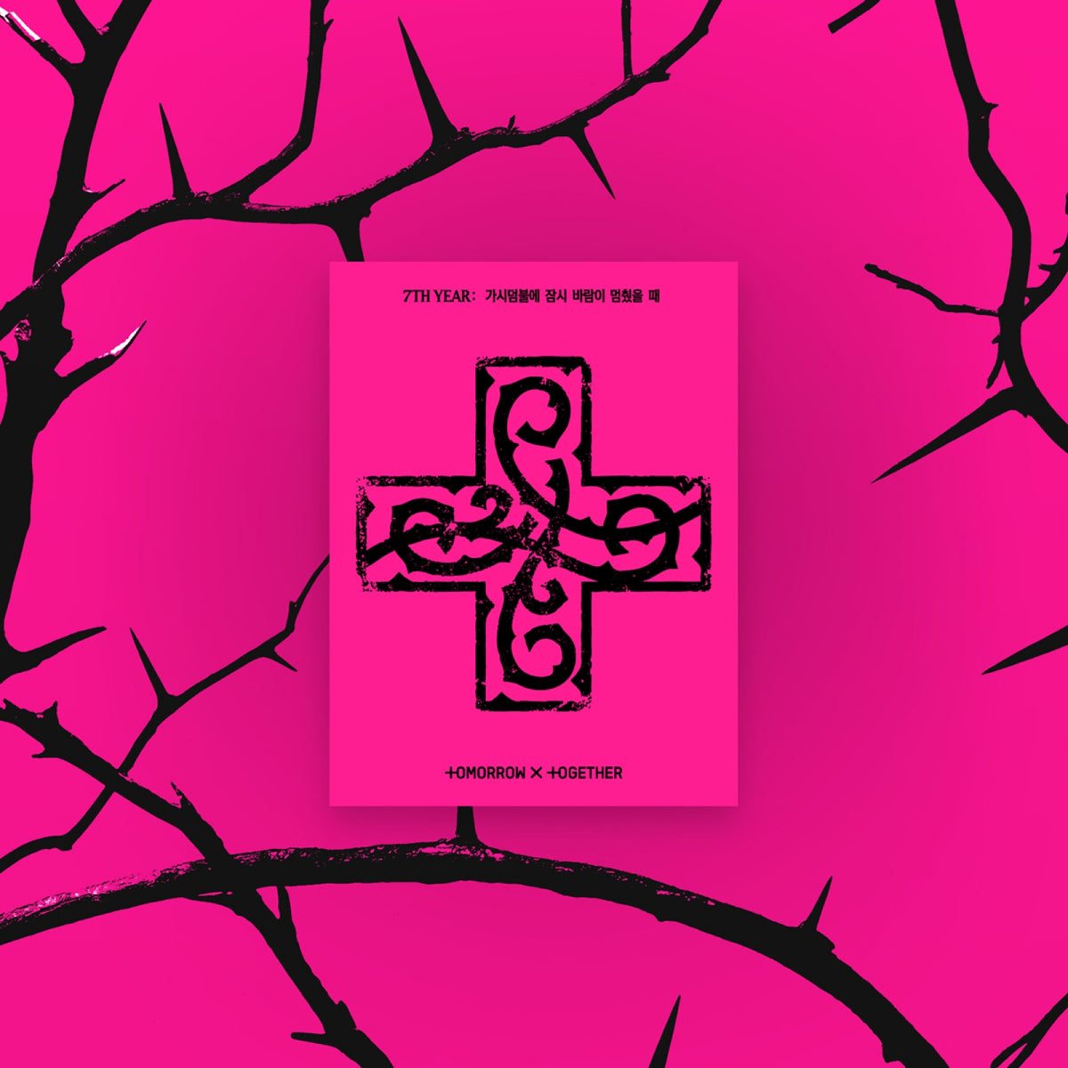 TOMORROW X TOGETHER TXT 7th Year : When The Wind Paused Among The Thorns / 8th Mini Album PPULBATU Ver