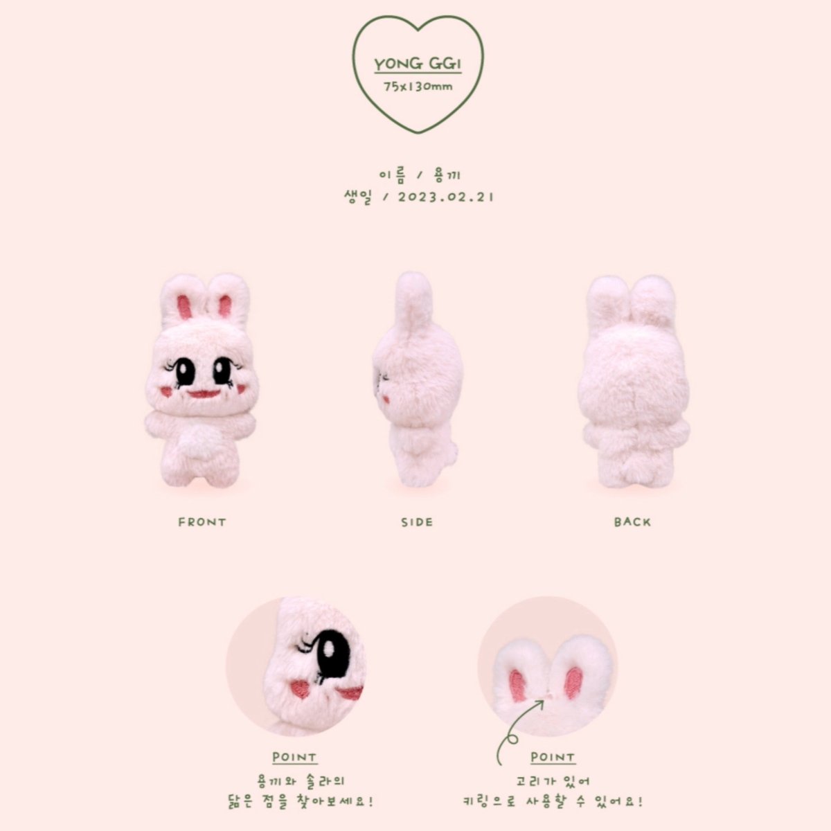 アイドル SOLAR'S BIRTHDAY SET [YONG GG] 2023 미국