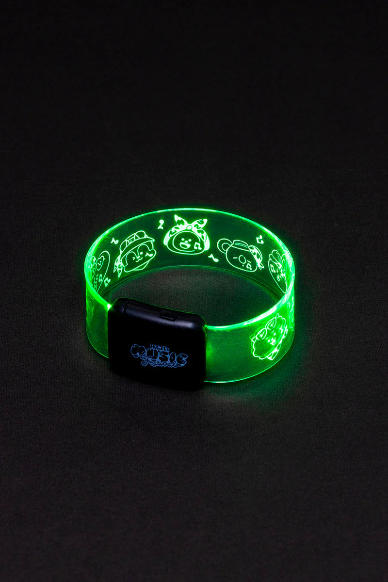 BT21 JAPAN Official Music Festival LED Light Band
