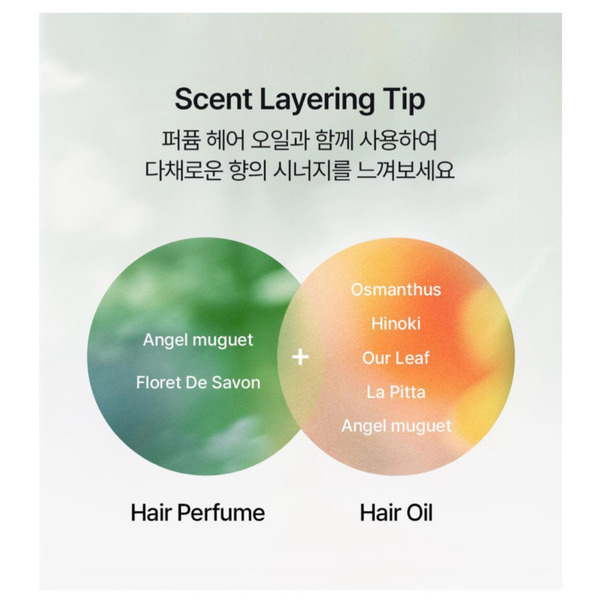 LADOR x BTS JIMIN Angel Muguet or Floret de Savon Hair Perfume 30ml + Mini Photobook