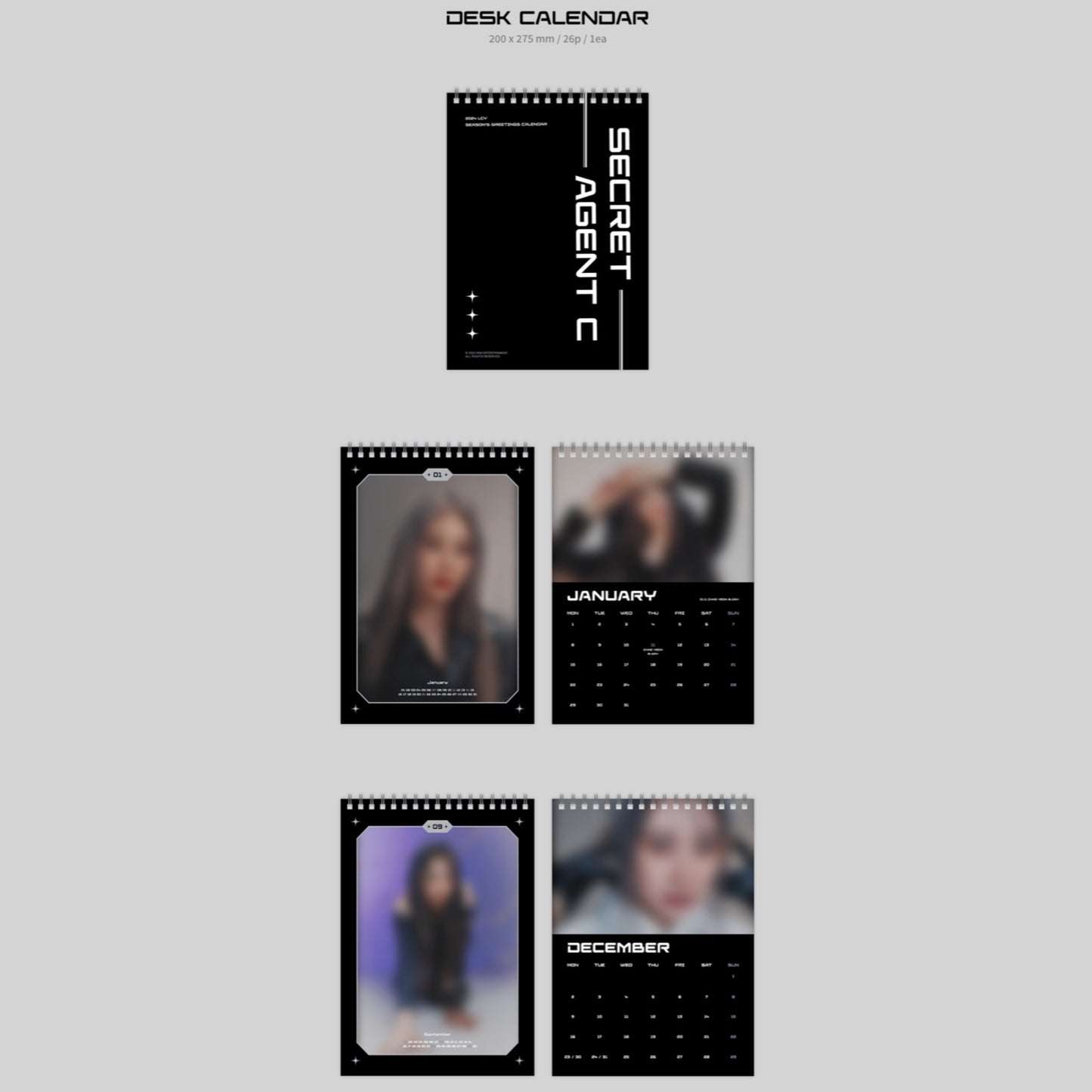 LEE CHAEYEON Secret Agent C 2024 Official Season's Greetings