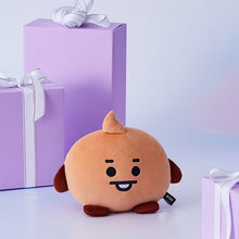 BT21 Official Flat Face Cushion