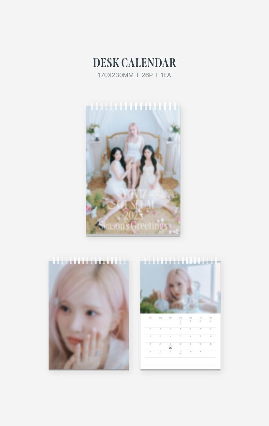 VIVIZ 2025 Official Season's Greetings