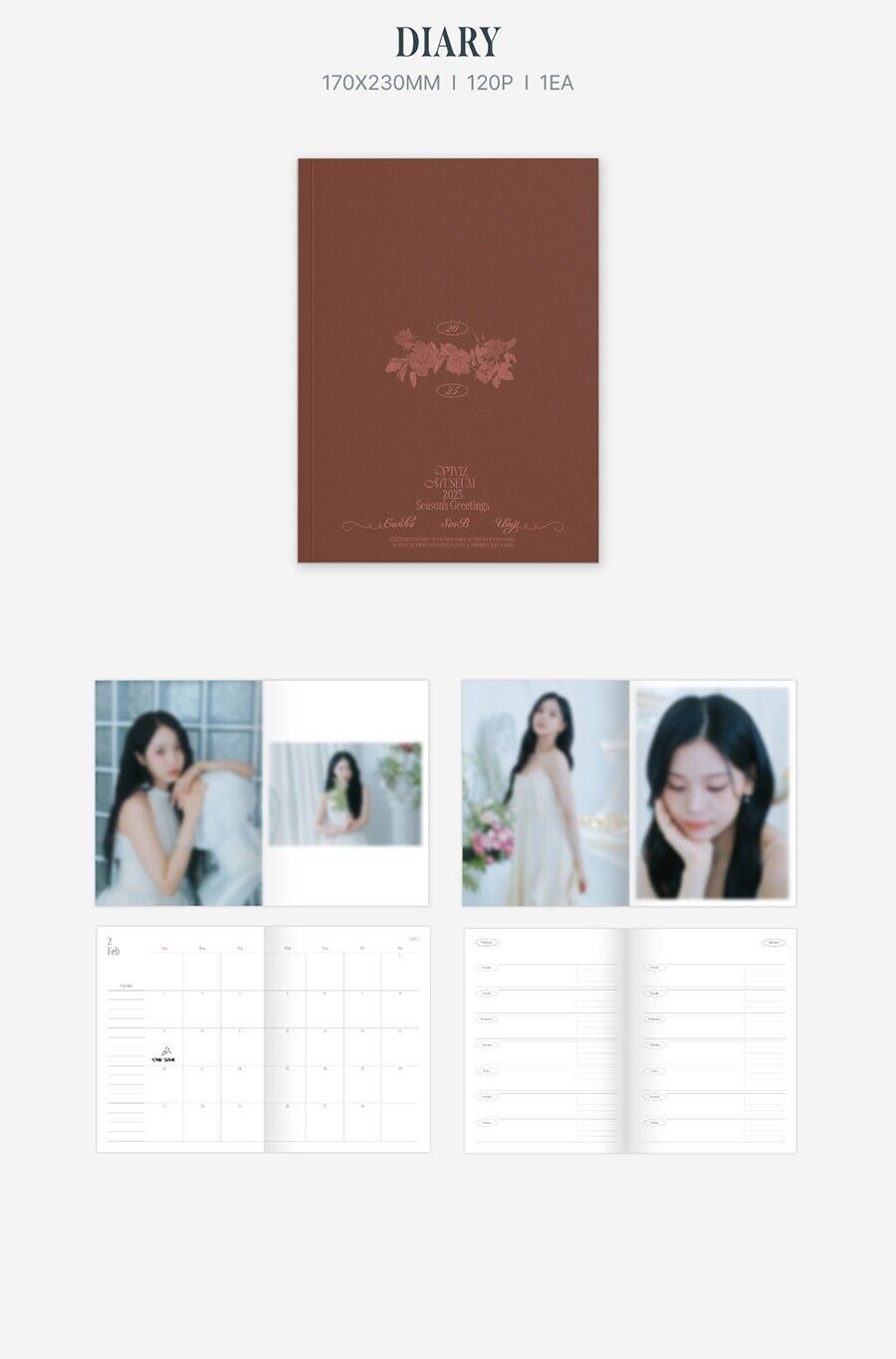 VIVIZ 2025 Official Season's Greetings
