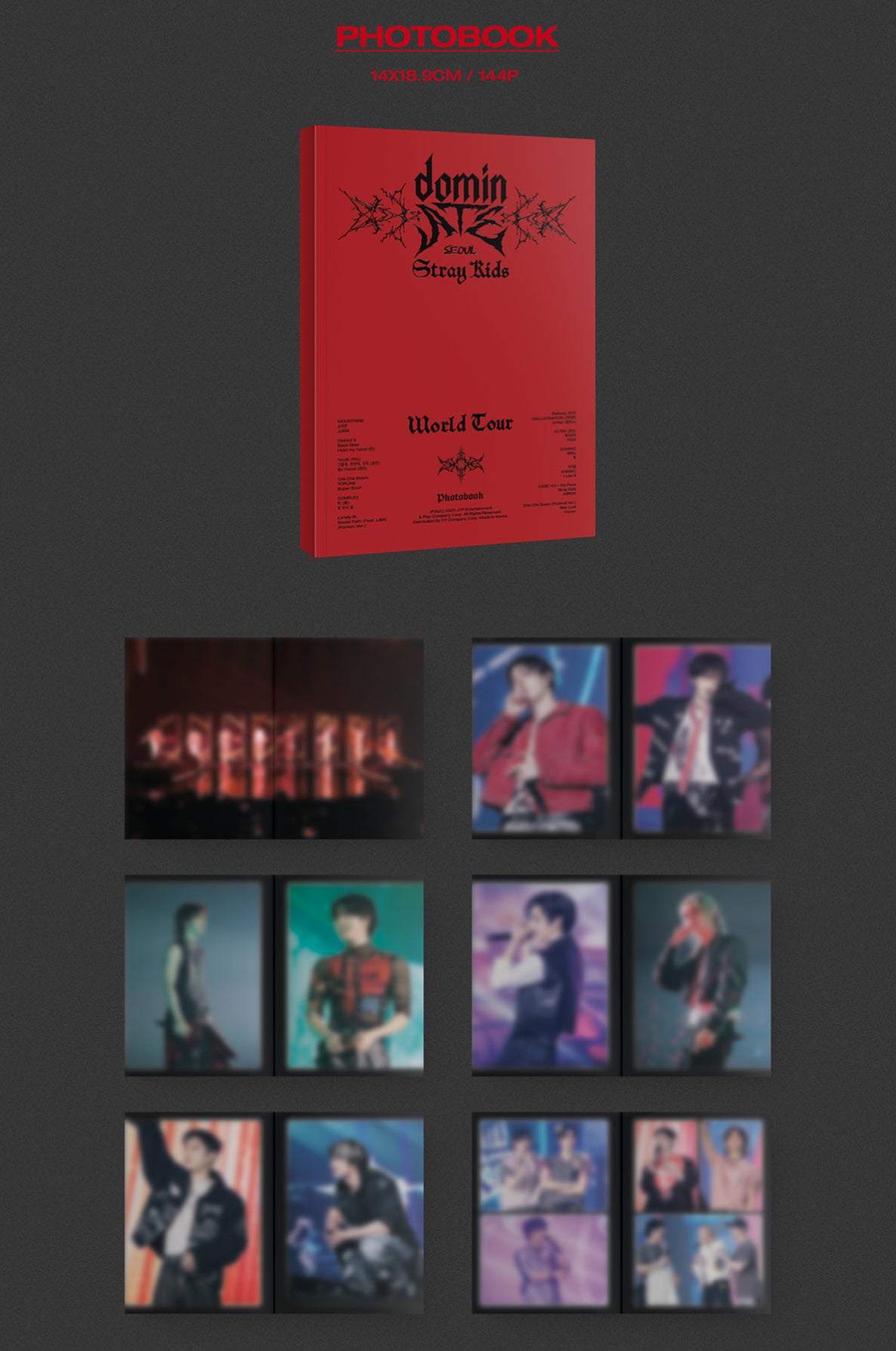 STRAY KIDS DOMINATE SEOUL World Tour DVD