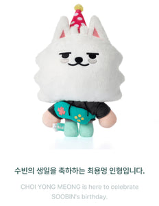 SOOBIN PPULBATU TOGETHER X TOMORROW TXT SET PLUSH MEONG YONG CHOI スビン TXT 未開封 CHOI Plush MEONG YONG アイドル