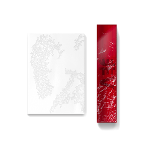BTS be interview photobook 新品未開封 BTS V - TYPE 非 Official Photobook & Poster – K-STAR