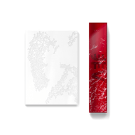 BTS V - TYPE 非 Official Photobook & Poster
