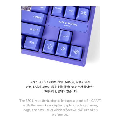SEVENTEEN OFFICIAL ARTIST MADE COLLECTION : WONWOO