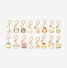 Stray Kids SKZOO X SANRIO Characters Official MD (Pre-Order MID OCTOBER 2026)