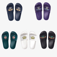 Slides