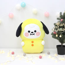 LINE x BT21 Official Hand Warmer Cushion 45cm