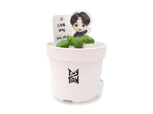 [BIG HIT] TinyTAN Seed Stick Set