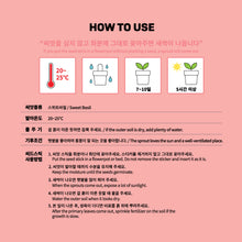 [LINE X BT21] My Little Buddy Seed Stick Set