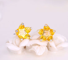 BigBang VIP Star Ring/Earring