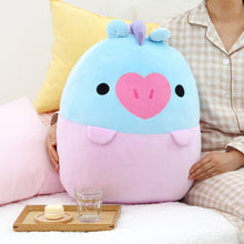 [LINE X BT21] Baby Comfortable BIG Cushion
