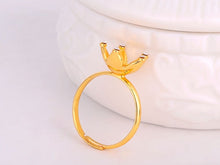 BigBang VIP Star Ring/Earring