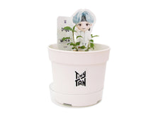 [BIG HIT] TinyTAN Seed Stick Set