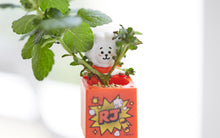 [LINE X BT21] Green Toy Set