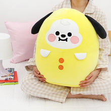 [LINE X BT21] Baby Comfortable BIG Cushion