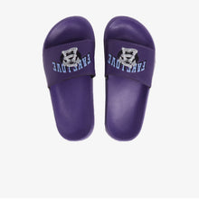 Slides