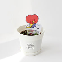 [LINE X BT21] My Little Buddy Seed Stick Set
