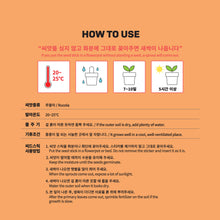 [BIG HIT] TinyTAN Seed Stick Set
