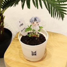 [BIG HIT] TinyTAN Seed Stick Set