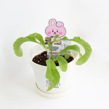 [LINE X BT21] My Little Buddy Seed Stick Set