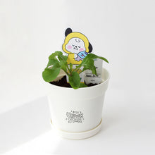 [LINE X BT21] My Little Buddy Seed Stick Set