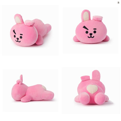 [LINE X BT21] Soft Mini Pillow Cushion.