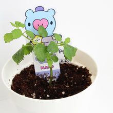[LINE X BT21] My Little Buddy Seed Stick Set