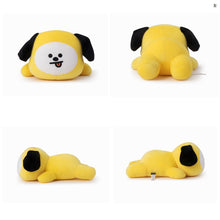 [LINE X BT21] Soft Mini Pillow Cushion.