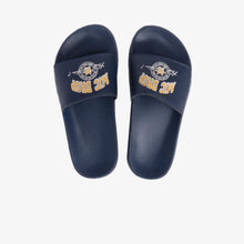 Slides