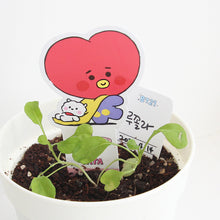 [LINE X BT21] My Little Buddy Seed Stick Set