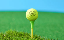 [LINE X BT21] Golf Ball Matte Dozen