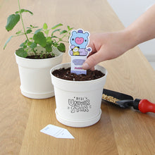 [LINE X BT21] My Little Buddy Seed Stick Set