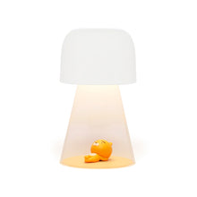 [KAKAO FRIENDS] Smart Lamp