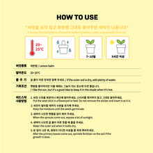[LINE X BT21] My Little Buddy Seed Stick Set