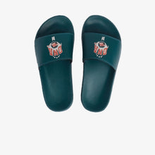 Slides