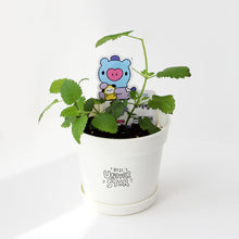 [LINE X BT21] My Little Buddy Seed Stick Set