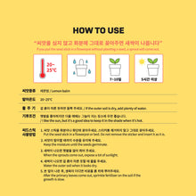 [BIG HIT] TinyTAN Seed Stick Set