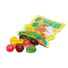 [LINE FRIENDS] Friends Gummy