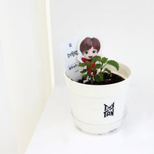 [BIG HIT] TinyTAN Seed Stick Set