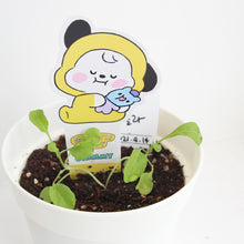 [LINE X BT21] My Little Buddy Seed Stick Set