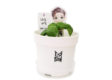 [BIG HIT] TinyTAN Seed Stick Set