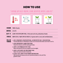 [LINE X BT21] My Little Buddy Seed Stick Set